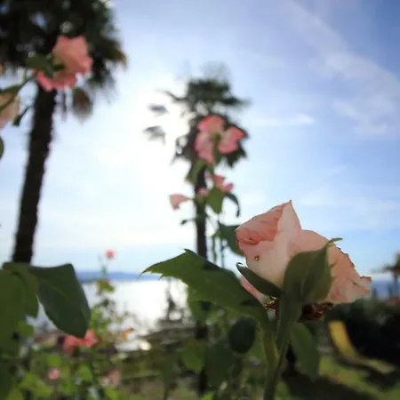 Daire Tramontana Windward - Cozy And Charming In Beautiful Volosko *